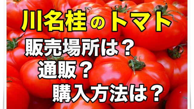 川名桂のトマトの販売場所は 通販や購入方法も調査 ゴタブログ